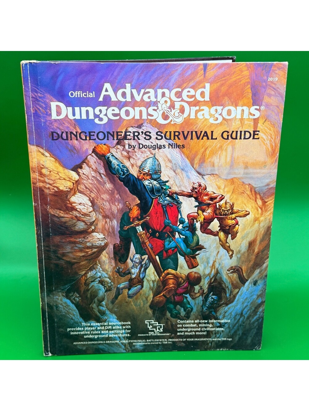 Advanced Dungeons & Dragons Dungeoneer's Survival Guide 2019 TSR 1986 AD&D